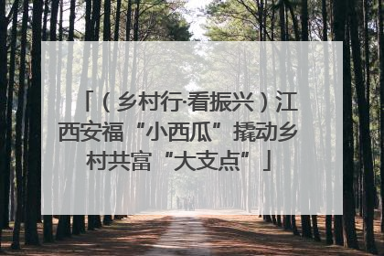 （乡村行·看振兴）江西安福“小西瓜”撬动乡村共富“大支点”