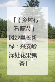 （乡村行·看振兴）风沙里长新绿：兴安岭深处花果飘香
