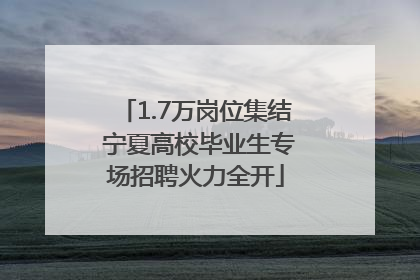 1.7万岗位集结 宁夏高校毕业生专场招聘火力全开