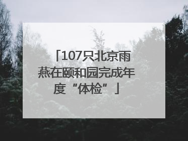 107只北京雨燕在颐和园完成年度“体检”