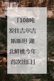 108吨发往吉尔吉斯斯坦 湖北鲜桃今年首次出口