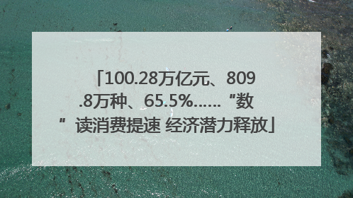 100.28万亿元、809.8万种、65.5%……“数”读消费提速 经济潜力释放