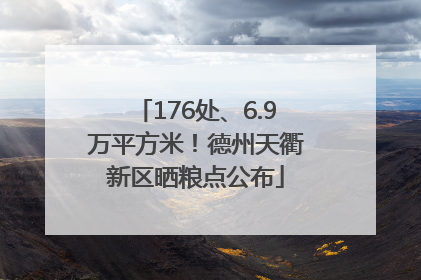 176处、6.9万平方米！德州天衢新区晒粮点公布