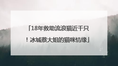 18年救助流浪猫近千只！冰城蔡大姐的猫咪情缘
