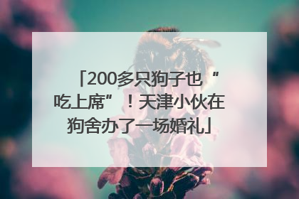 200多只狗子也“吃上席”！天津小伙在狗舍办了一场婚礼