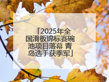 2025年全国滑板锦标赛碗池项目落幕 青岛选手获季军