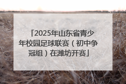 2025年山东省青少年校园足球联赛（初中争冠组）在潍坊开赛