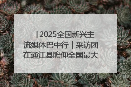 2025全国新兴主流媒体巴中行｜采访团在通江县瞻仰全国最大红军烈士陵园