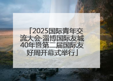 2025国际青年交流大会·淄博国际友城40年暨第二届国际友好周开幕式举行