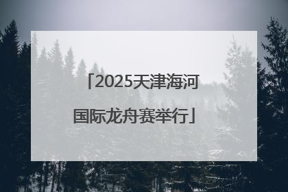 2025天津海河国际龙舟赛举行