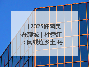 2025好网民·在聊城｜杜秀红：网线连乡土 丹心映桑梓