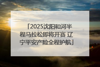 2025沈阳和河半程马拉松即将开赛 辽宁平安产险全程护航