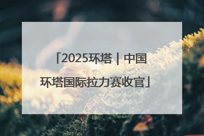 2025环塔｜中国环塔国际拉力赛收官