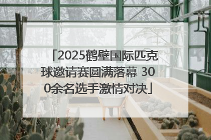 2025鹤壁国际匹克球邀请赛圆满落幕 300余名选手激情对决