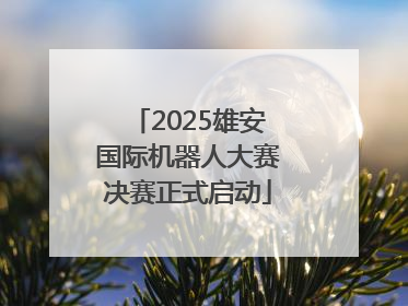 2025雄安国际机器人大赛决赛正式启动