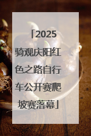 2025骑观庆阳红色之路自行车公开赛爬坡赛落幕