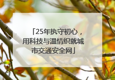 25年执守初心，用科技与温情织就城市交通安全网