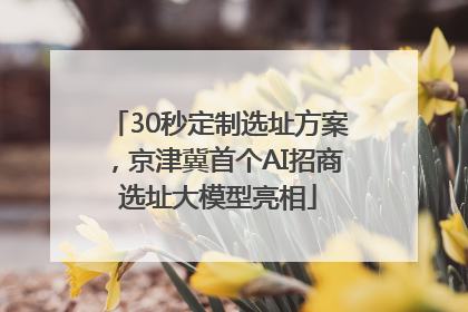 30秒定制选址方案，京津冀首个AI招商选址大模型亮相