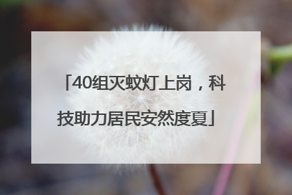 40组灭蚊灯上岗，科技助力居民安然度夏