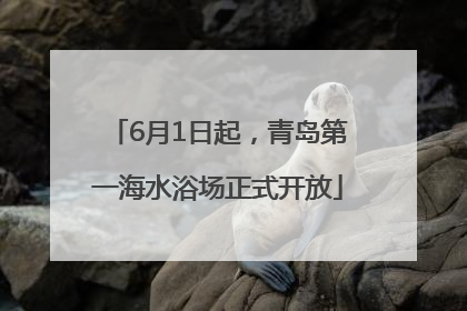 6月1日起，青岛第一海水浴场正式开放