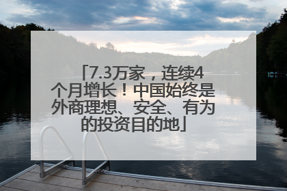 7.3万家，连续4个月增长！中国始终是外商理想、安全、有为的投资目的地