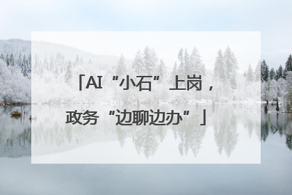 AI“小石”上岗，政务“边聊边办”