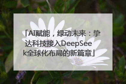 AI赋能，绿动未来：挚达科技接入DeepSeek全球化布局的新篇章