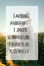 AI领航 向新同行丨2025安徽电信数字科技生态大会举行