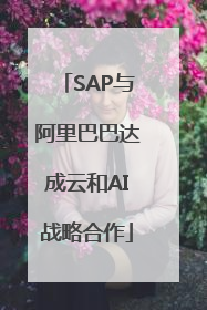 SAP与阿里巴巴达成云和AI战略合作